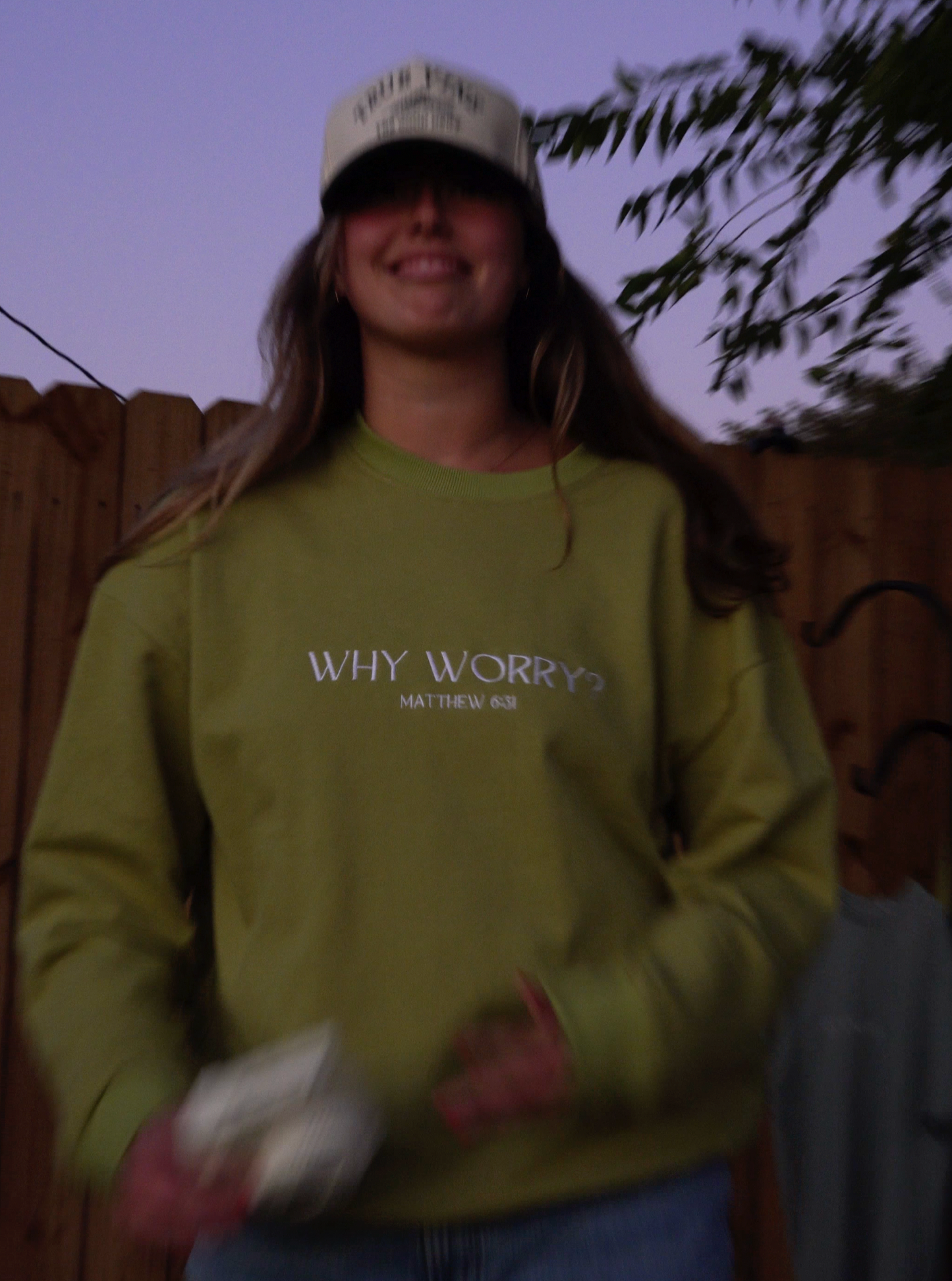 Why Worry Crewneck Sweater (Light Green)