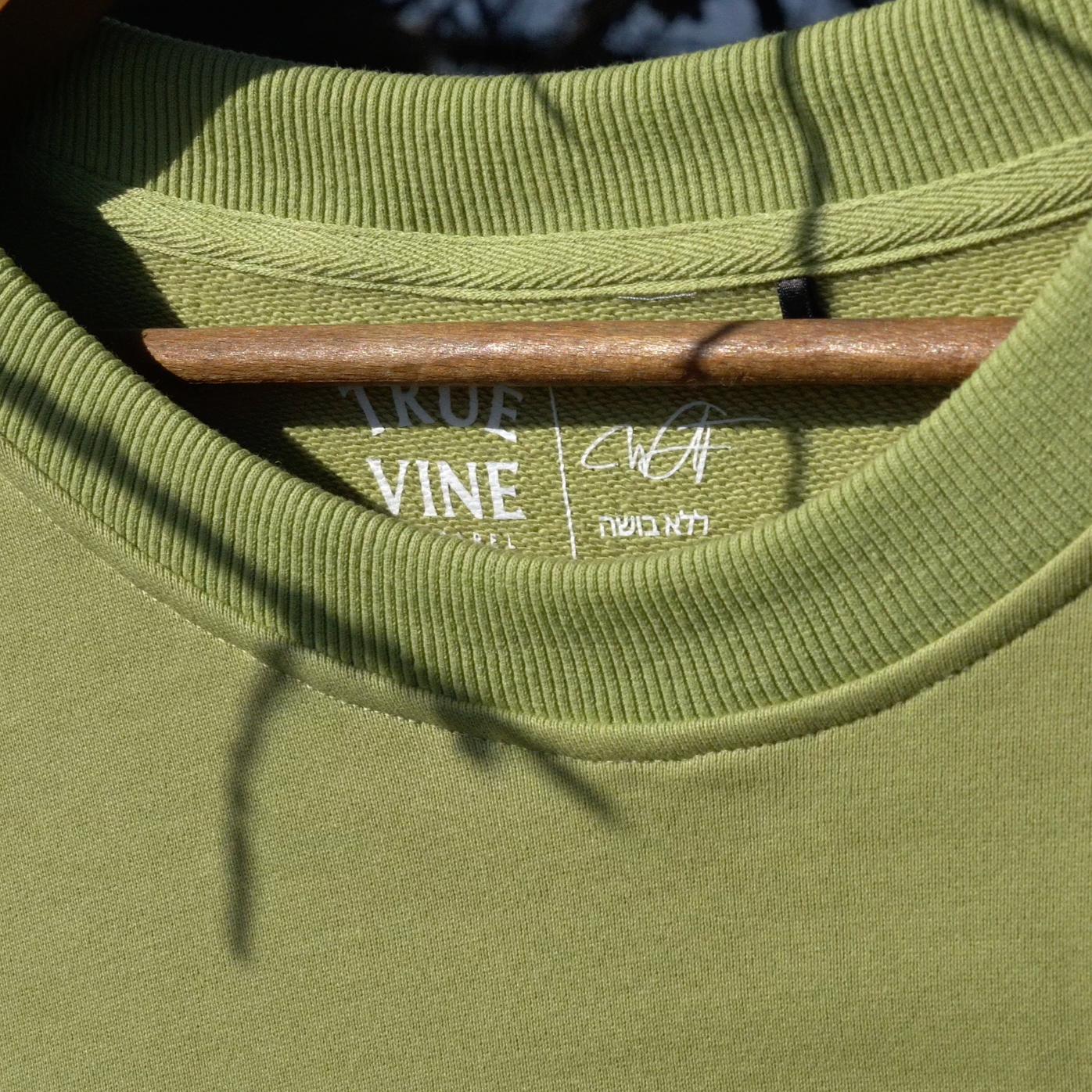 Why Worry Crewneck Sweater (Light Green)