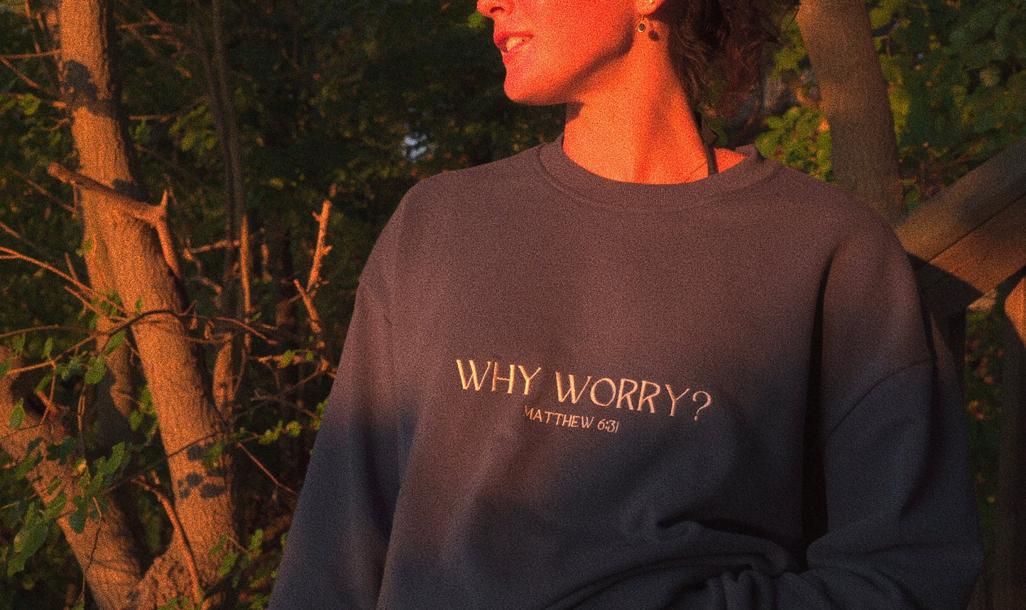 Why Worry Crewneck Sweater (navy blue)